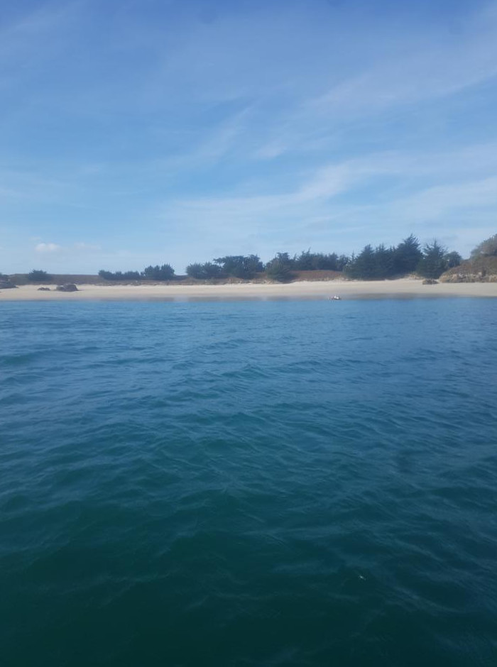 Click to enlarge Alt