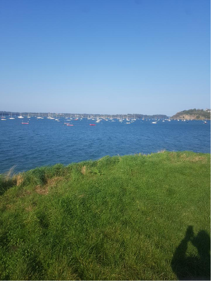 Click to enlarge Alt