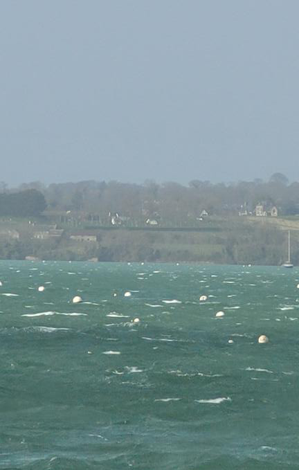 Click to enlarge Alt