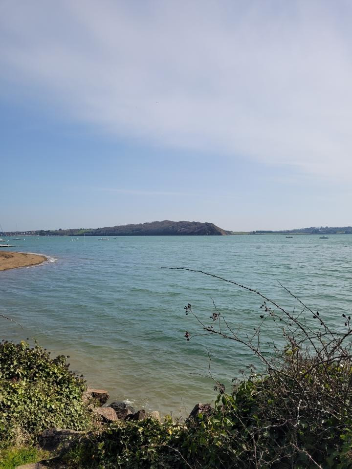 Click to enlarge Alt