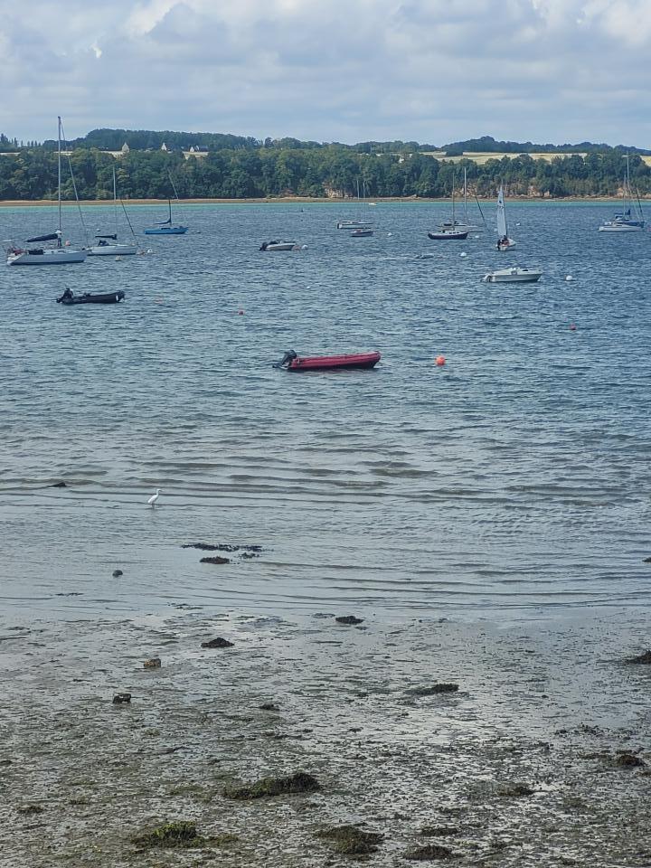 Click to enlarge Alt