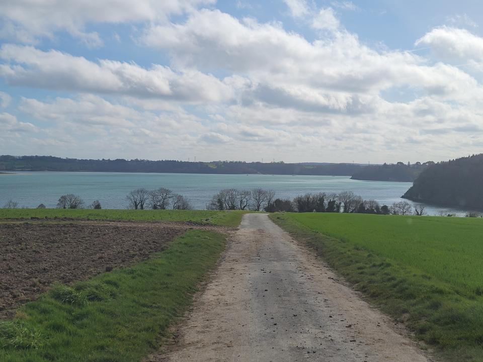 Click to enlarge Alt