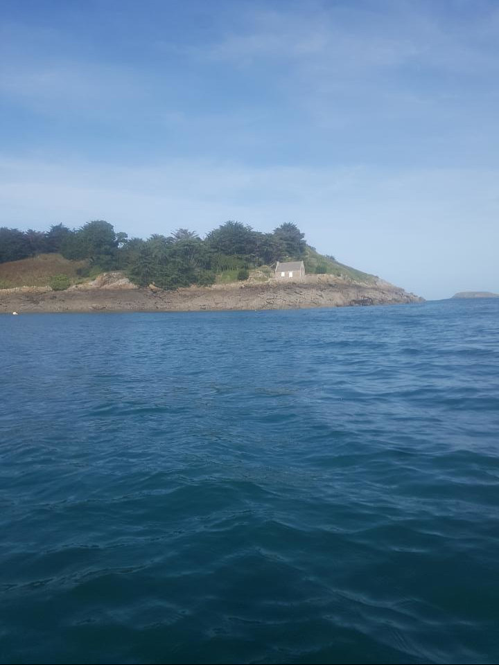 Click to enlarge Alt