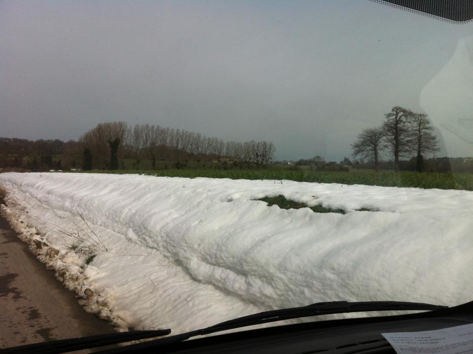 Click to enlarge Alt